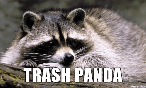 real names for animals - Trash Panda made on imgur