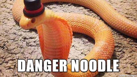 danger noodle - Danger Noodle