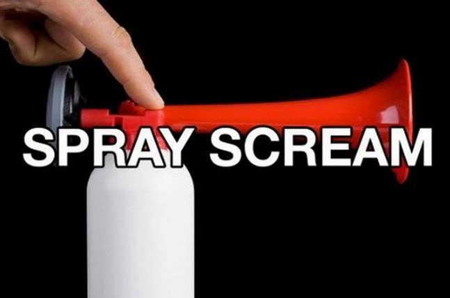 new names for things - Spray Scream