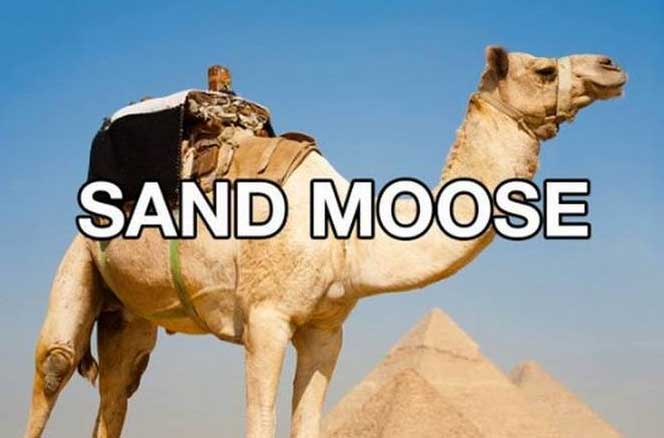 other names for things - Sand Moose