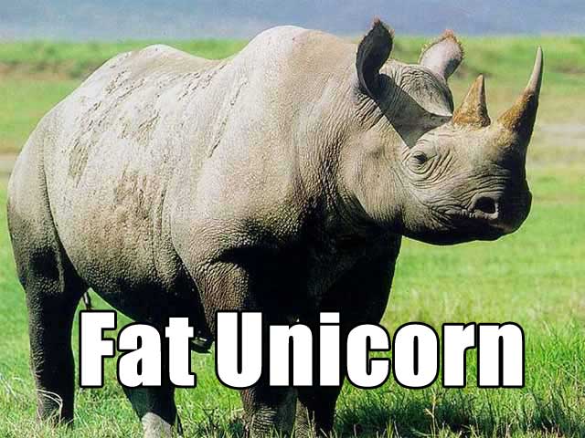 animal photoshop mixes - Fat Unicorn