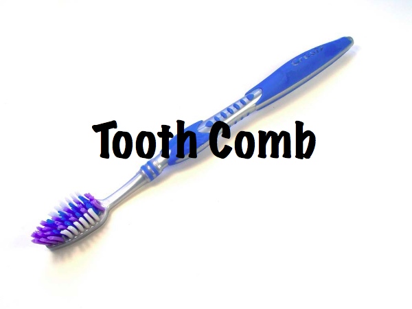 toothbrush - Tooth Comb