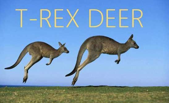 new names for things - TRex Deer