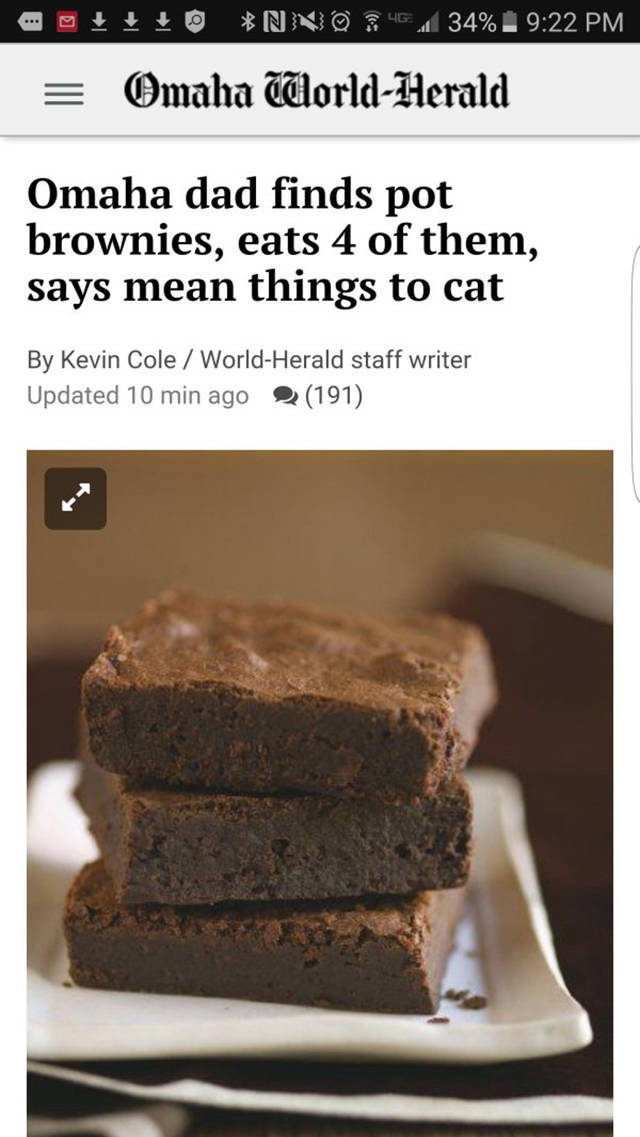 omaha world-herald - O NNO34534% Omaha WorldHerald Omaha dad finds pot brownies, eats 4 of them, says mean things to cat By Kevin Cole WorldHerald staff writer Updated 10 min ago 191