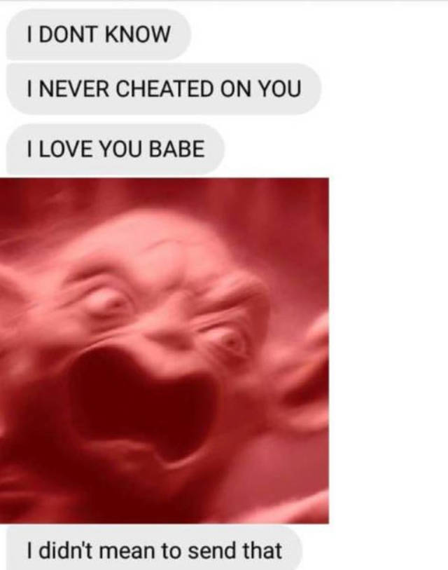 never cheated on you meme - I Dont Know I Never Cheated On You I Love You Babe I didn't mean to send that