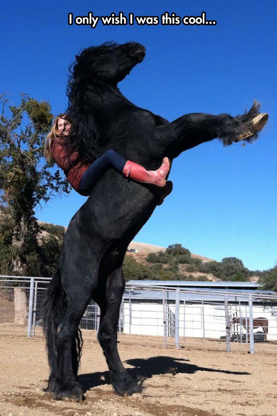 riding giant horse - I only wish I was this cool...