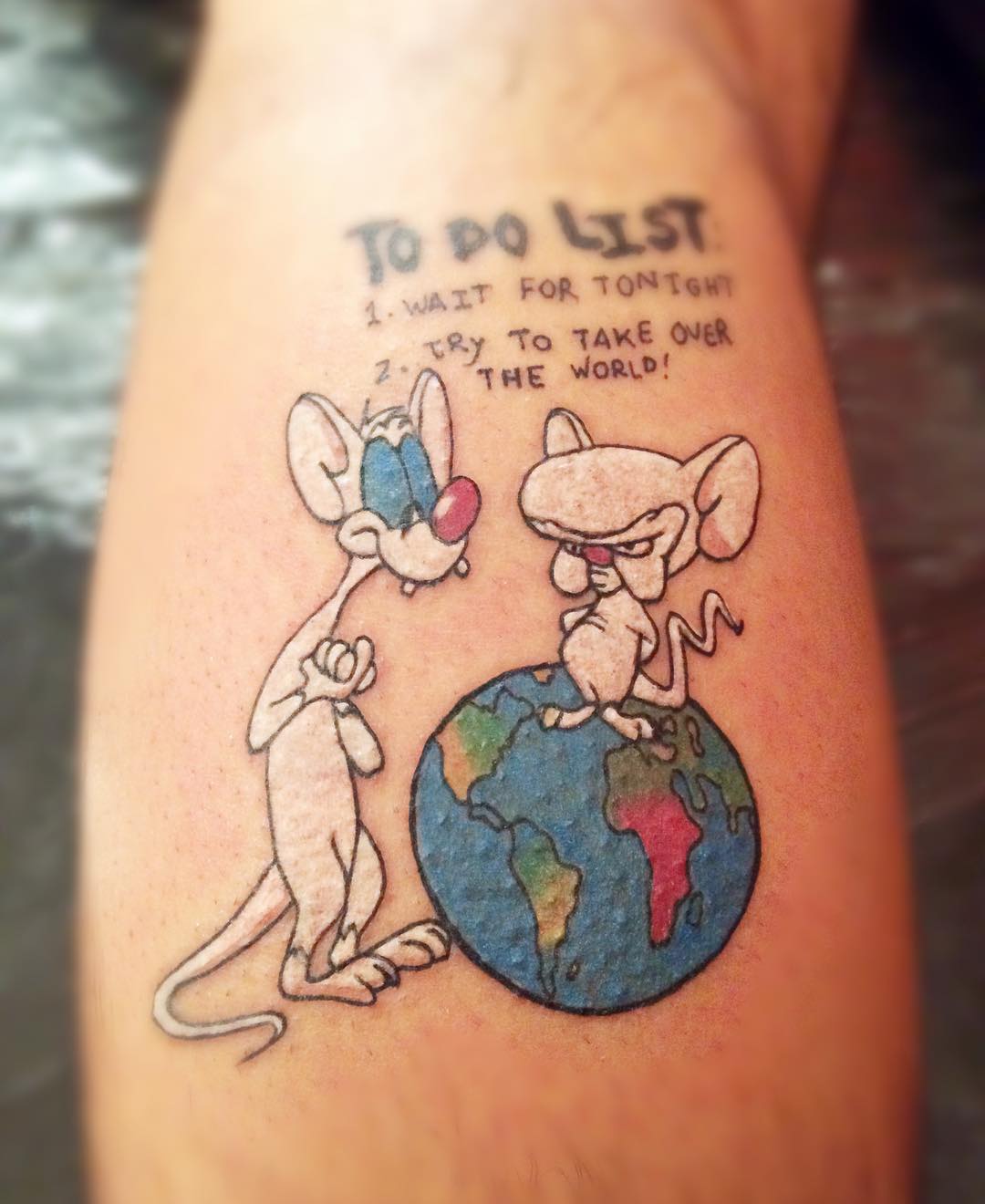 cartoon characters tattoos - To Do List 1. Wait For Tonight Try To Take Over The World!