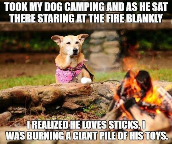 funny camping memes - Took My Dog Camping And As He Sat There Staring At The Fire Blankly I Realized He Loves Sticks. I Was Burning A Giant Pile Of His Toys.