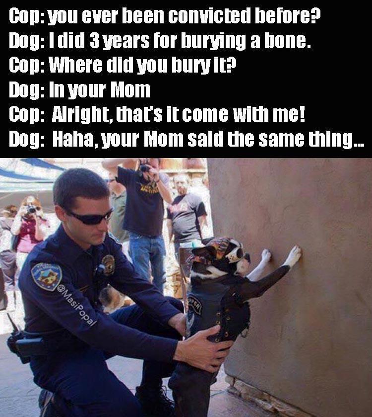 did 3 years for burying a bone - Cop you ever been convicted before? Dog I did 3 years for burying a bone. Cop Where did you bury it? Dog In your Mom Cop Alright, that's it come with me! Dog Haha, your Mom said the same thing...