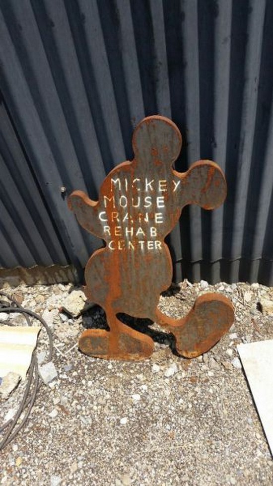 nope iron - Mickey Mouse Crafte Rehab Center