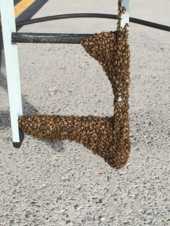 nope chair