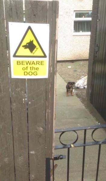 totally legit Beware of the Dog