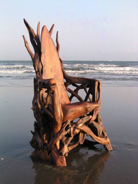 driftwood throne