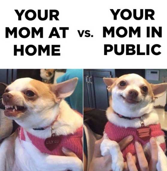 your mom at home vs in public - Your Your Mom At vs. Mom In Home Public Uly Lui