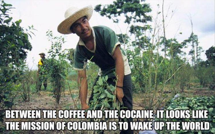 coca leaves meme - There Between The Coffee And The Cocaine. It Looks The Mission Of Colombia Is To Wake Up The World