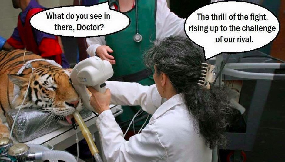 ophthalmology memes - What do you see in there, Doctor? The thrill of the fight, rising up to the challenge of our rival.