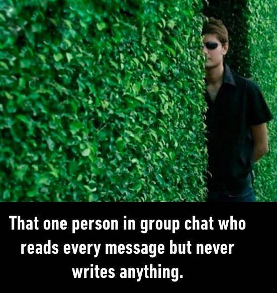 person in the group chat - That one person in group chat who reads every message but never writes anything.