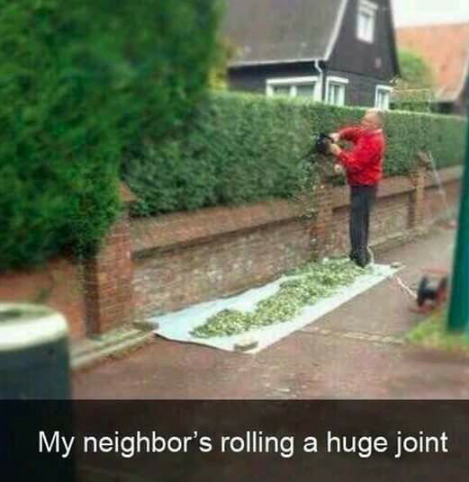 joint funny - My neighbor's rolling a huge joint