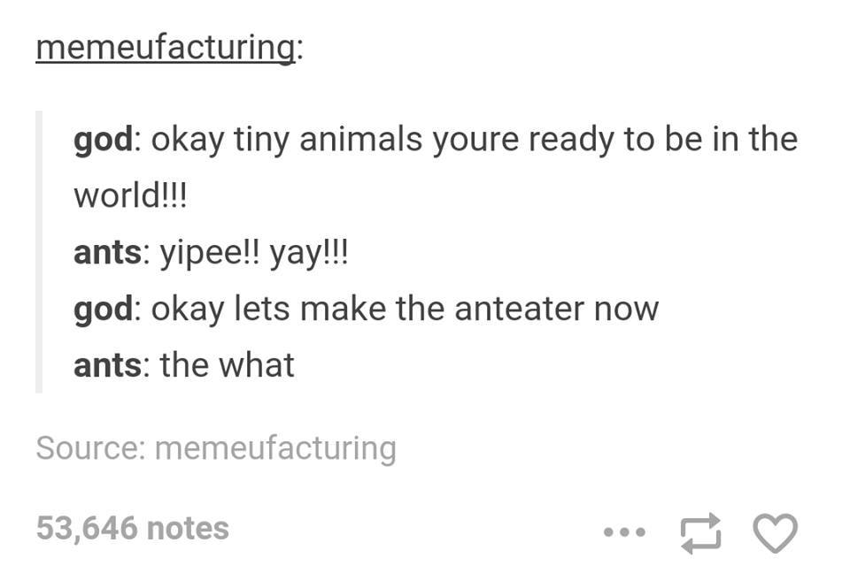 posts tumblr funny quotes - memeufacturing god okay tiny animals youre ready to be in the world!!! ants yipee!! yay!!! god okay lets make the anteater now ants the what Source memeufacturing 53,646 notes