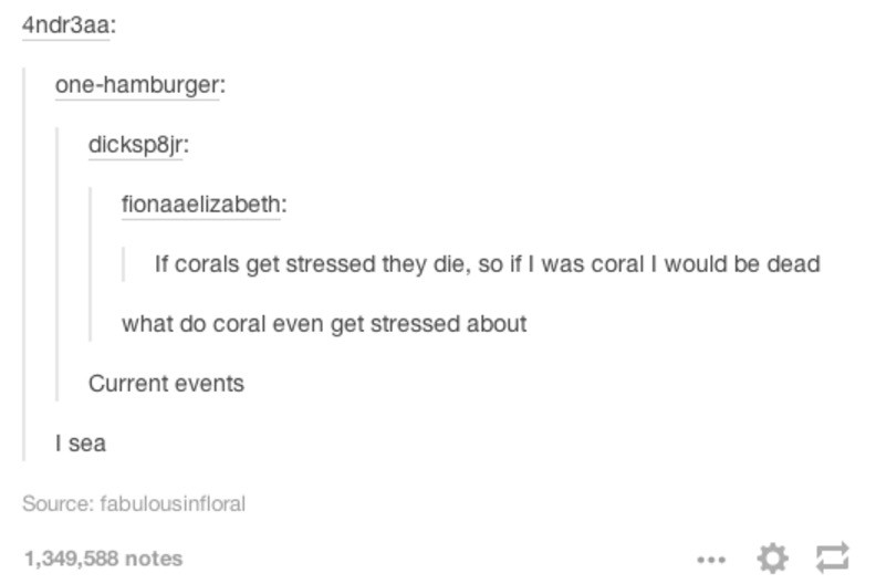 document - 4ndr3aa onehamburger dicksp8jr fionaaelizabeth If corals get stressed they die, so if I was coral I would be dead what do coral even get stressed about Current events I sea Source fabulousinfloral 1,349,588 notes
