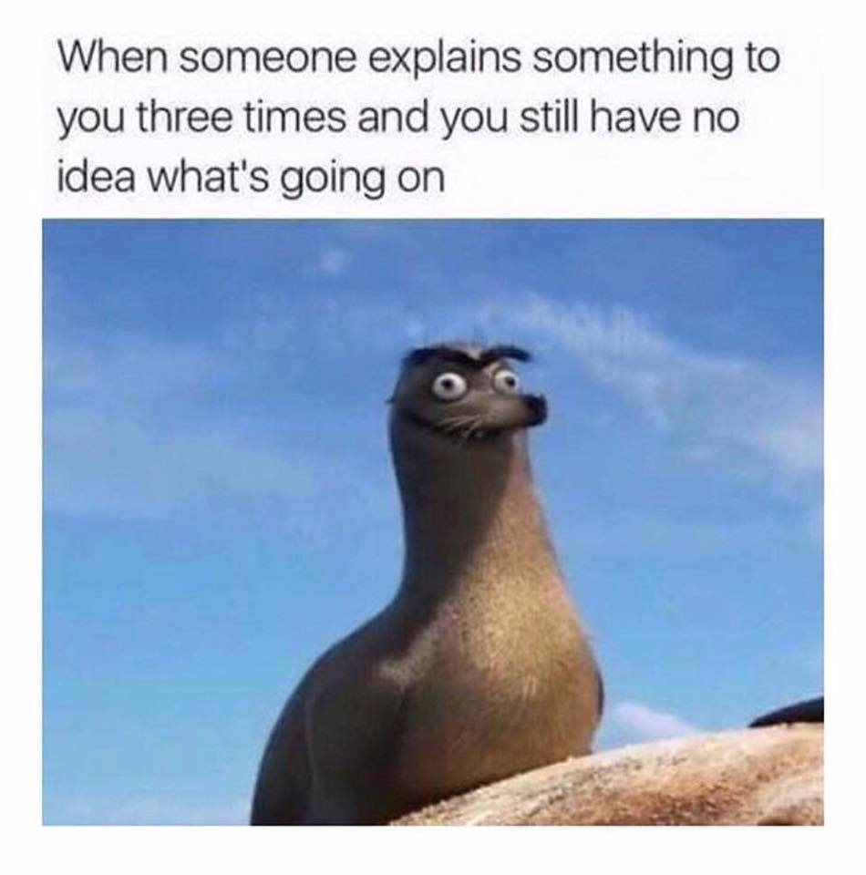 finding dory gerald meme - When someone explains something to you three times and you still have no idea what's going on