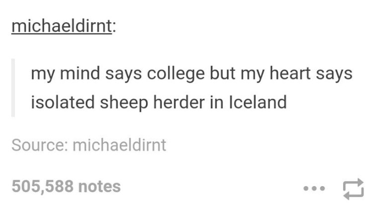 document - michaeldirnt my mind says college but my heart says isolated sheep herder in Iceland Source michaeldirnt 505,588 notes