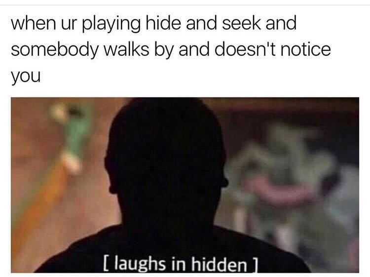 can t see it instagram meme - when ur playing hide and seek and somebody walks by and doesn't notice you laughs in hidden 1