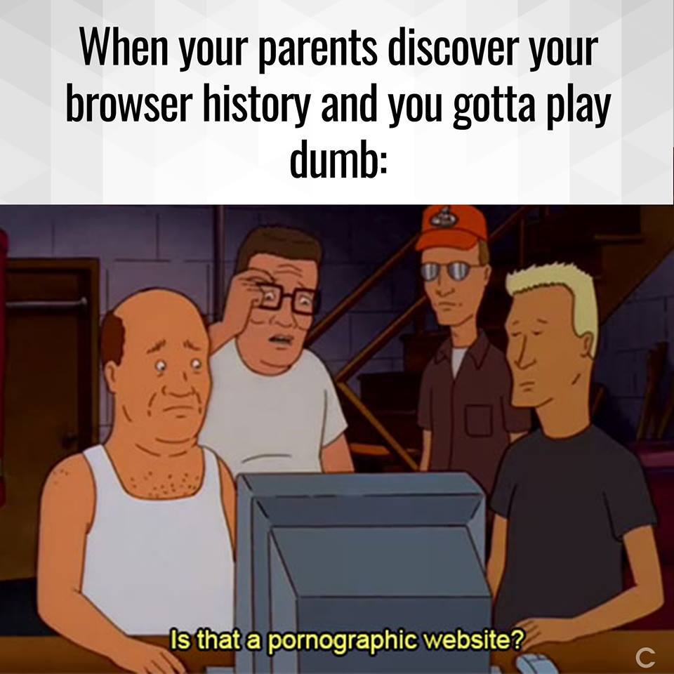 funny pictures - cartoon - When your parents discover your browser history and you gotta play dumb is that a pornographic website?