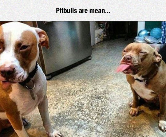 36 Funny Photos To Make Your Day!