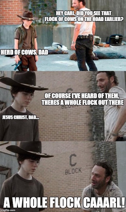 rick grimes saying carl - Hey Carl, Did You See That Flock Of Cows On The Road Earlier? Herd Of Cows, Dad Of Course Inve Heard Of Them. Theres A Whole Flock Out There Jesus Christ, DAD__ Block A Whole Flock Caaarl! imgflip.com