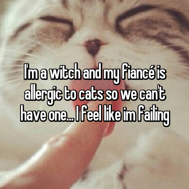 photo caption - Ima witch and my fiancis allergic to cats so we cant have one. I feel im Failing