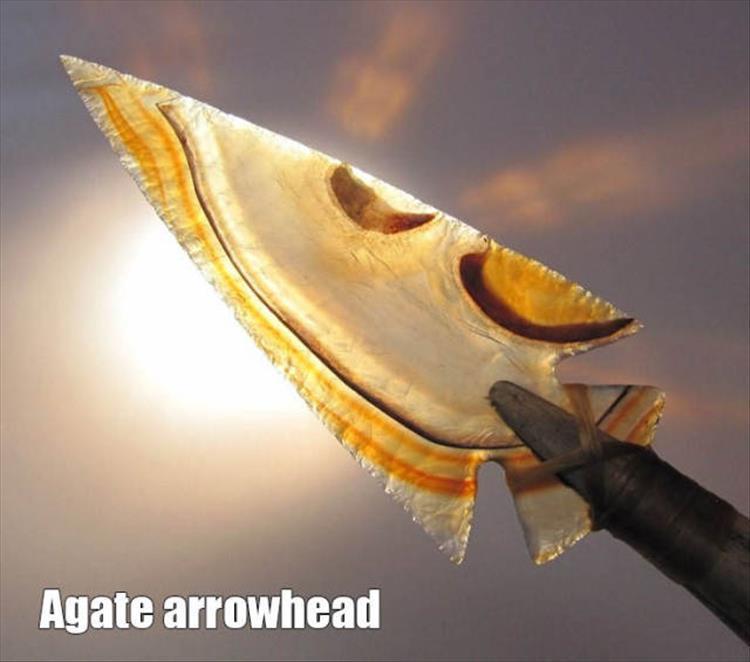 funny cat pictures with captions - Agate arrowhead