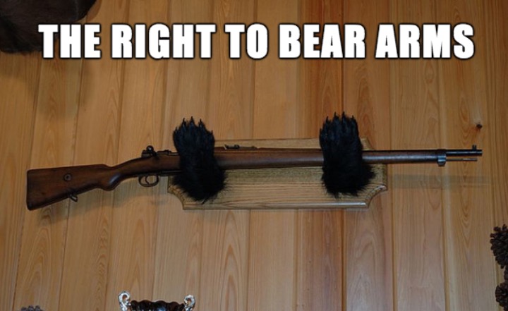 firearm - The Right To Bear Arms