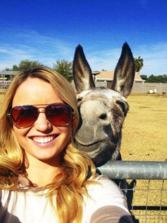 34 Killer Next Level Photobombs!