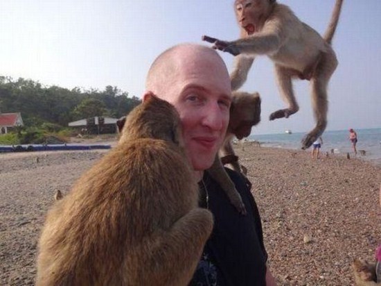 funny photo bombs