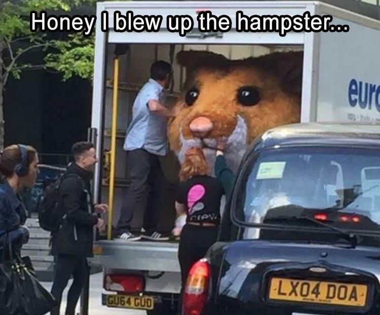 funny government hiding from us - Honey I blew up the hampster.co LX04 Doa GU64 Cud