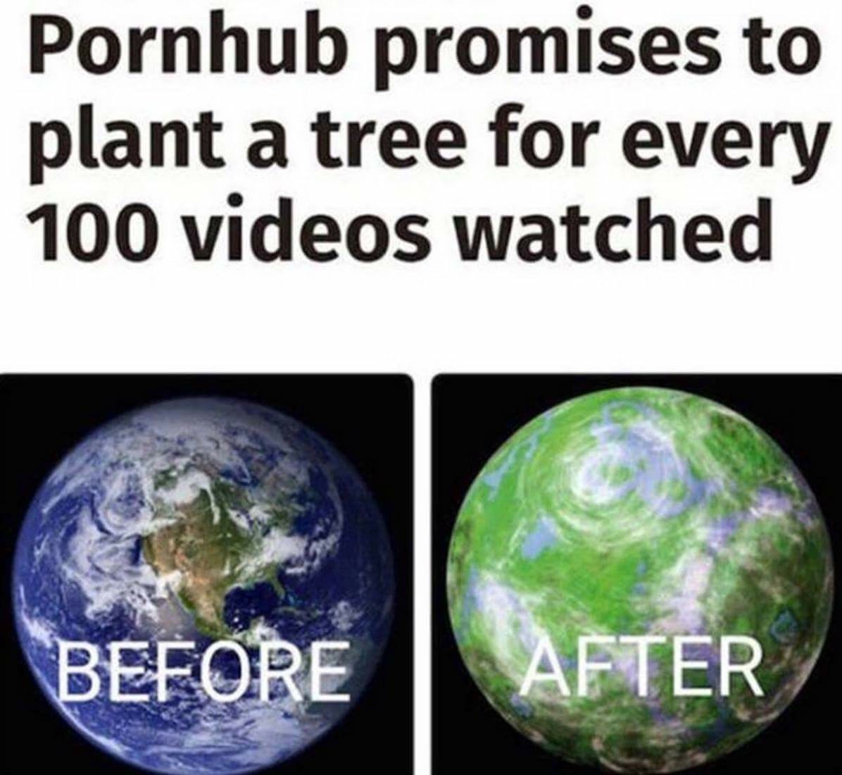 funny pornhub trees - Pornhub promises to plant a tree for every 100 videos watched Before After