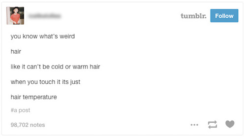 software - tumblr. you know what's weird hair it can't be cold or warm hair when you touch it its just hair temperature post 98,702 notes