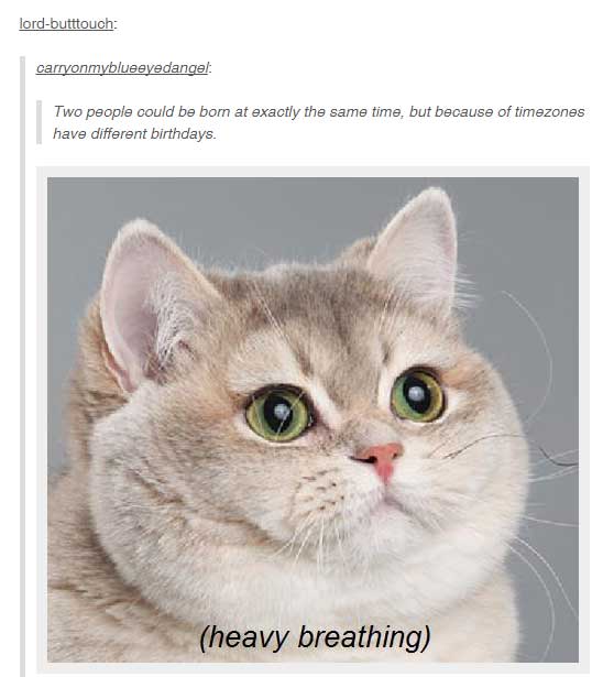 heavy breathing cat - lordbutttouch carryonmyblueeyedangel Two people could be bom at exactly the same time, but because of timezones have different birthdays. heavy breathing