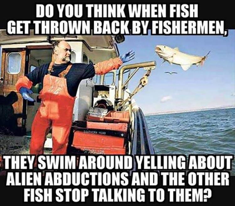 Humour - Do You Think When Fish Get Thrown Back By Fishermen, They Swim Around Yelling About Alien Abductions And The Other Fish Stop Talking To Them?