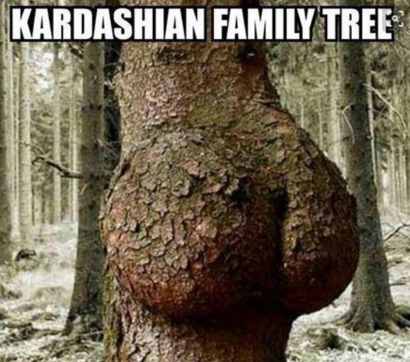 stupid tree - Kardashian Family Trees