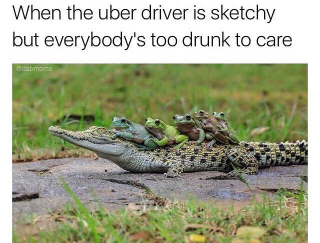 baby crocodile - When the uber driver is sketchy but everybody's too drunk to care