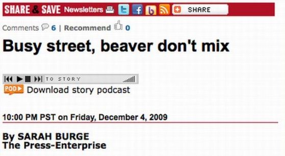 number - & Save Newsletters et Fos P 6 | Recommend Oo Busy street, beaver don't mix Ku >> To Story Pod Download story podcast Pst on Friday, By Sarah Burge The Press Enterprise