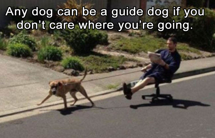 extremely lazy people - Any dog can be a guide dog if you don't care where you're going.