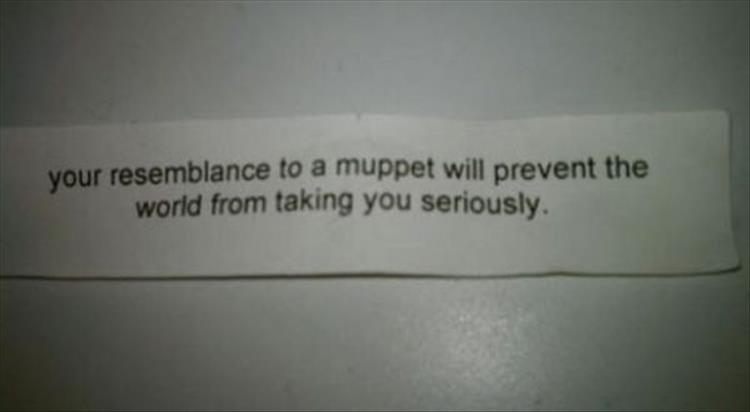 label - your resemblance to a muppet will prevent the world from taking you seriously.