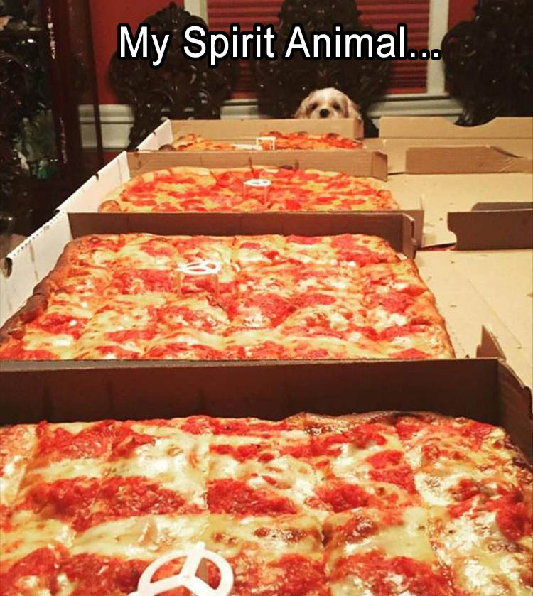 spirit animal meme pizza - My Spirit Animal...