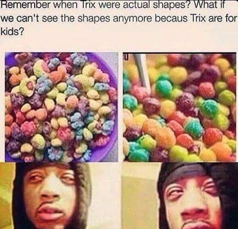 trix are for kids memes - Remember when Trix were actual shapes? What if we can't see the shapes anymore becaus Trix are for kids?