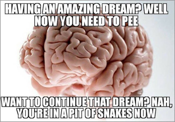 brain meme anxiety - Having An Amazing Dreamp Well Now You Need To Pee Want To Continue That Dream? Nah, You'Re Inapit Of Snakes Now
