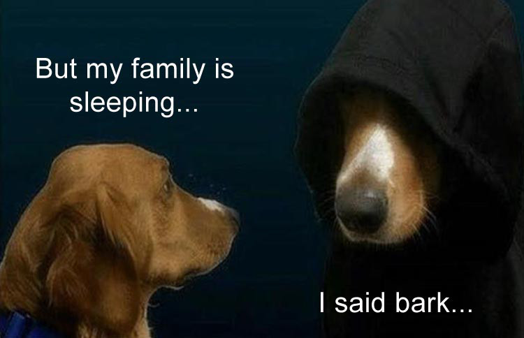 but my family is sleeping i said bark - But my family is sleeping... I said bark...