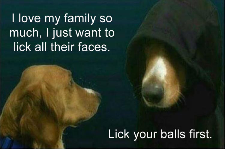 emperor palpatine dog - I love my family so much, I just want to lick all their faces. Lick your balls first.
